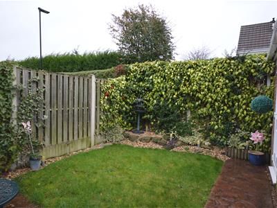 Picture 13